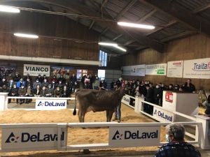 Kt. Nr. 11 Salomon Tochter Scarlett Fr. 3900